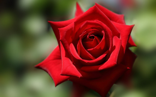 949538 (a): :2880x1800
